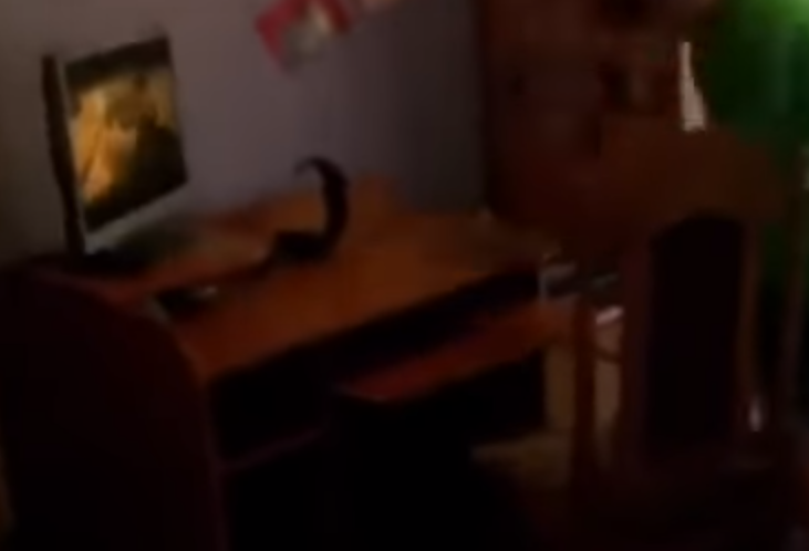 image.png.1bf19540e9939204d58a0c8c487f954a.png