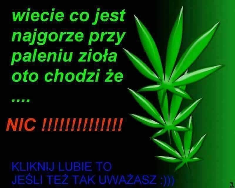 1077B0BF-DCCB-48D6-A96D-23BC03EC4F30.jpeg.a4a0a0d533b7819c3c5ceabadfb35721.jpeg