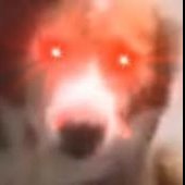 kantyk