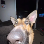 kacperro