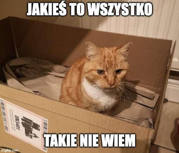 FB_IMG_1674918263784.jpg.73f67d8f2e23c4ac079b8c76bebb88c5.jpg