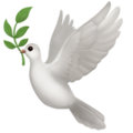 dove_1f54a-fe0f.png.2903a72d4cf46eb7b0f8001fa923b008.png