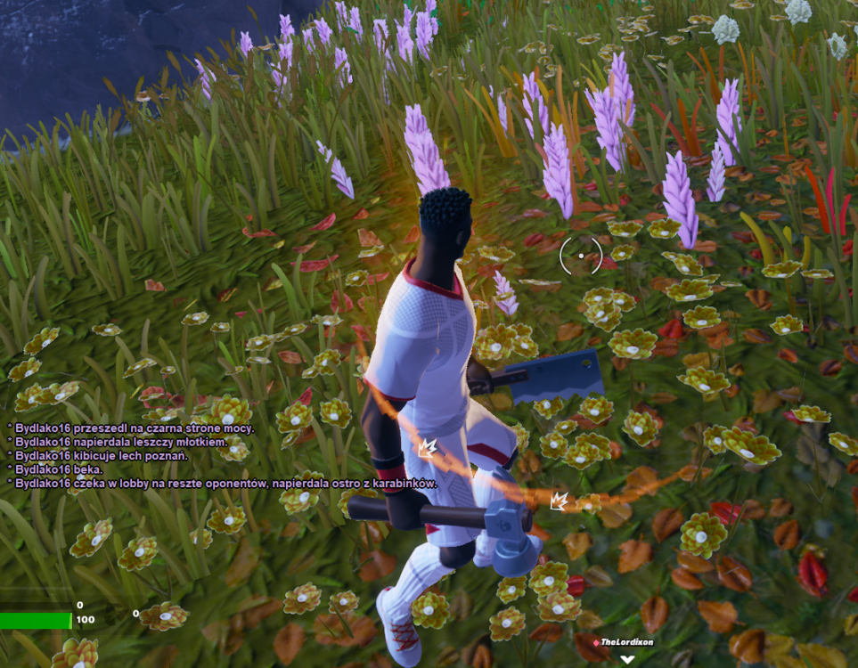 fortss.png