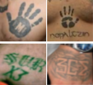 image.png.e8d2a19f13d06211cc6adbed2515ab2f.png
