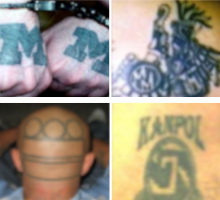 image.png.f00c2e6974bd114ff00eee65badbef66.png