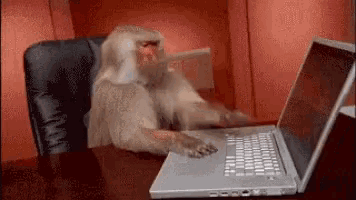 gif2.gif.2164ebad06edf0a30511550ff45ed18b.gif