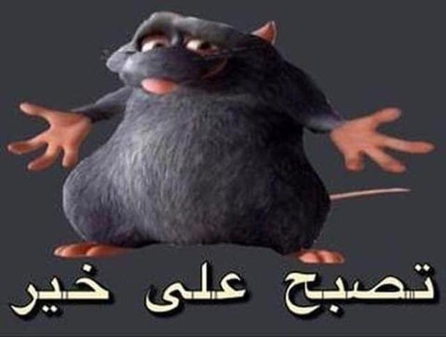 image.jpeg.60b8d070b63efbb2f1ee4d7ae6d7acac.jpeg
