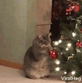 image.png.1f25d6883b2f768536f6da1122c13b47.png