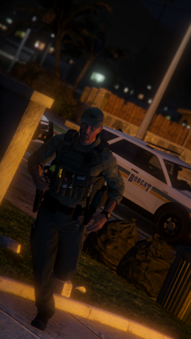 image.png.aa82bdd3686d58ae4b9811a84bcb18ad.png