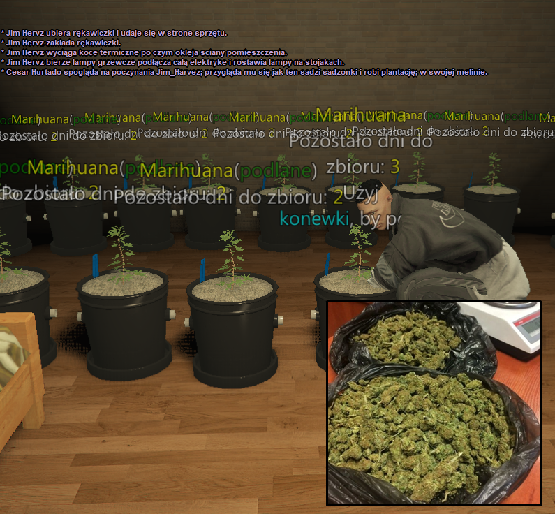 image.png.cada05ee603409ef1510ac0750390ad0.png