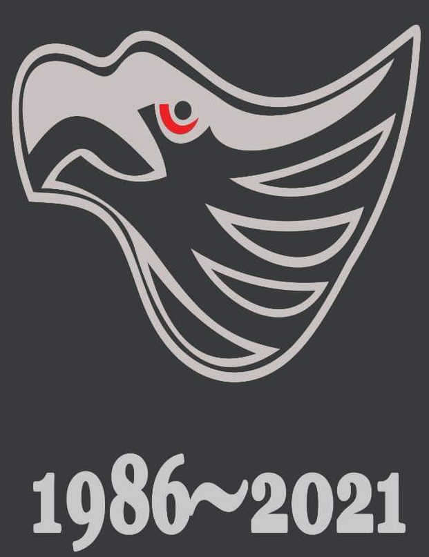 image.png.bd356068360bad31595e08db16e5df85.png