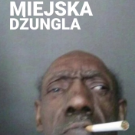 Tsvelisko