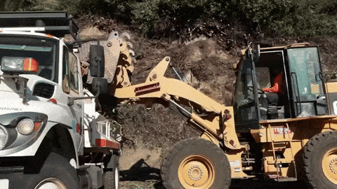 cantransgiff.gif.07467afa4c91efe22855e11b5022737e.gif