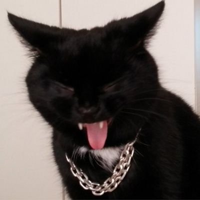 image.jpeg.8a7edcf26343ef88accb1423940e4368.jpeg