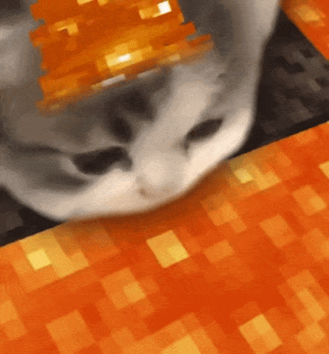 image.gif.19c3171c53e0eeef942c2a89943b0b18.gif