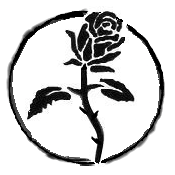 czarnaroza