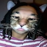 kudlatysosa