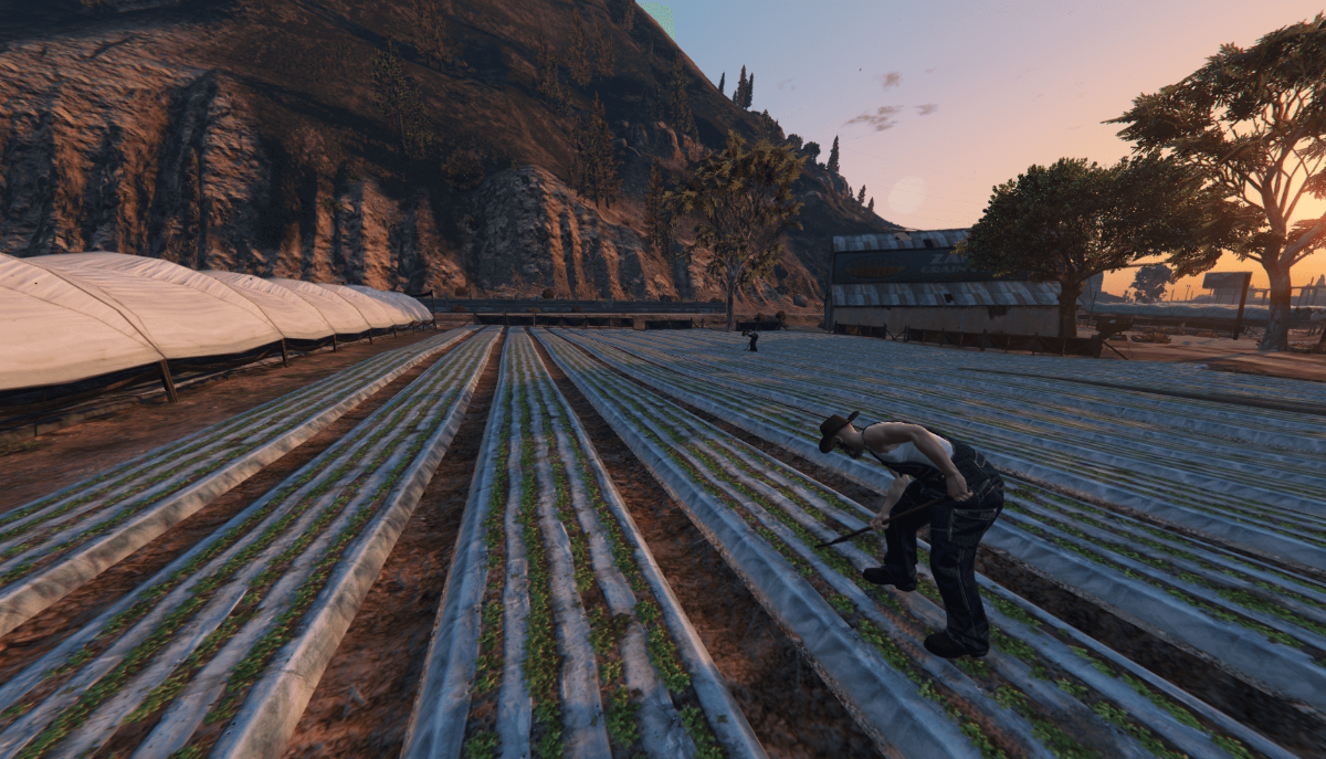 farma1.png.f138185d1e838c55030311e992b20d84.png