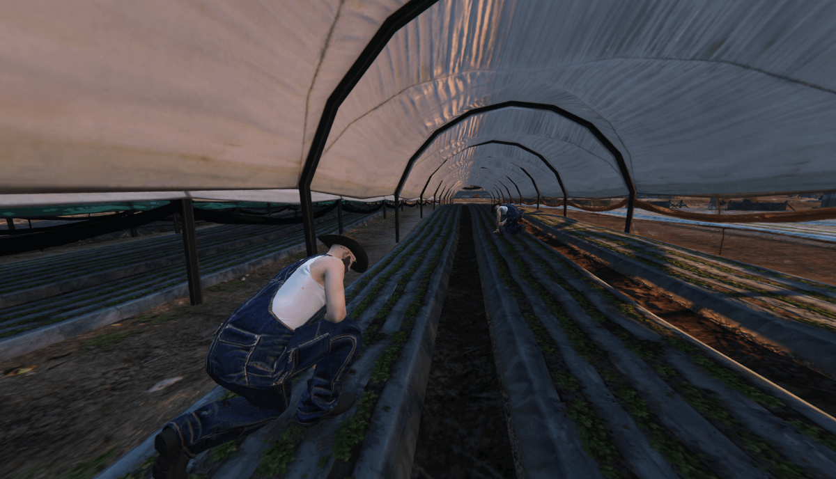 farma2.png.d5b6fc18d7ea51c71a4dd14a71178b9f.png