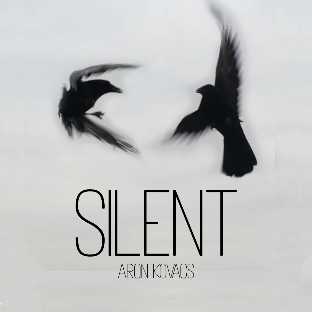 silent.png.9e32db1a9fdc7607186d8ef27722596c.png