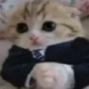 bonczek