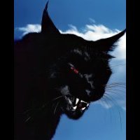 blackmouse